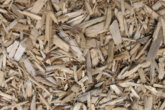 biomass boilers Pendoggett